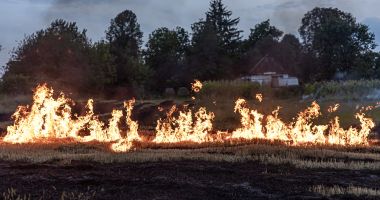 Stire din Eveniment : Incendiile de vegetație uscată fac ravagii în județul Constanța. Care sunt principalele cauze
