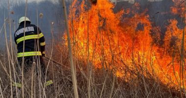 Stire din Eveniment : Inconștienți de riscuri, constănțenii incendiază miriștile! Pompierii, în permanentă alertă