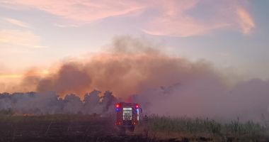 Incendii de vegetație provocate intenționat, la Poarta Albă: „Le face plăcere să vadă cum arde”