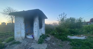 Jungla Constanței sau ”grădină botanică”? Sălbăticia a pus stăpânire pe zona dintre Poarta 6 și Km 4-5 - 3