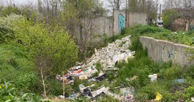 Jungla Constanței sau ”grădină botanică”? Sălbăticia a pus stăpânire pe zona dintre Poarta 6 și Km 4-5 - 4