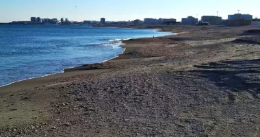 Stire din Social : A început lupta pentru sectoarele de plajă! Licitație majoră la Năvodari