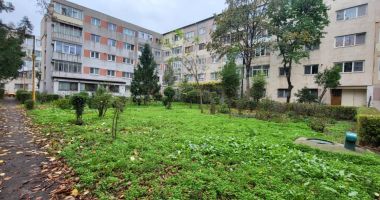 Chiar vom avea zece locuri de joacă noi? Bucurie pentru părinți, îngrijorare pentru vecini - 2