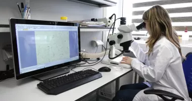 Ce mâncăm cu adevărat? Fructele de mare, pline de microplastice - 2