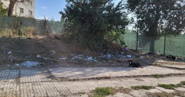 Campania Cuget Liber – "Păstrează Constanţa curată" - Zona Energia, invadată de gunoaie, drogaţi şi prostituate. "Fiecare aruncă mizeriile pe unde poate!" - 3