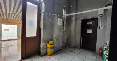 Moscheea „Carol I”, între istorie, degradare și promisiuni de finanțare. O mai salvează cineva? - 3