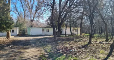 Palatul Copiilor Constanța, abandonat de autorități. Căsuțe distruse și datorii de jumătate de milion - 11
