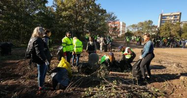 Pionierii de ieri, voluntarii de astăzi, readuc Palatului Copiilor valoarea de-acum cinci decenii - 5