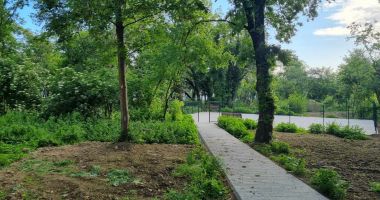 "Bătuţi" de soartă, abandonaţi de familii în secţia de Psihiatrie de la Palazu Mare - 5