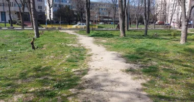 Stire din Social : Parcul Tăbăcărie, refăcut și deja degradat. Oamenii calcă iarba din lipsă de soluții