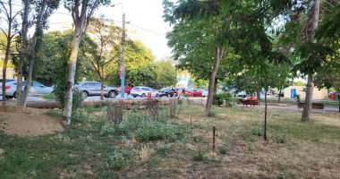 Parcul de la Gară arată ca după bombardamente! Slalom printre ţevi, gropi şi şantiere în lucru - 4