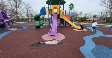 Cititorii sesizează, „Cuget Liber” consemnează. Parcul Viitorului, invadat de mormoloci - 3