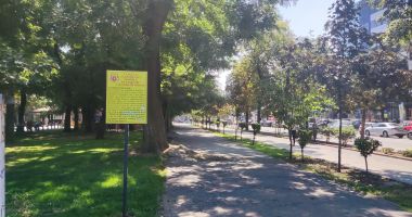 Planuri mărețe pentru Parcul Teatrului, singura oază de verdeață din centrul Constanței - 2