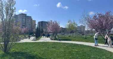 Contrast revoltător în fața Universității „Ovidius” Constanța. Parc înflorit versus teren pustiit - 2