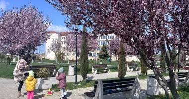 Contrast revoltător în fața Universității „Ovidius” Constanța. Parc înflorit versus teren pustiit - 3