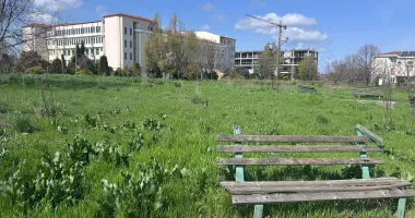 Contrast revoltător în fața Universității „Ovidius” Constanța. Parc înflorit versus teren pustiit - 4