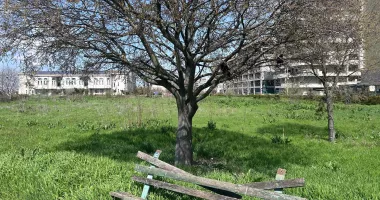 Contrast revoltător în fața Universității „Ovidius” Constanța. Parc înflorit versus teren pustiit - 6