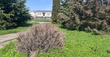 Contrast revoltător în fața Universității „Ovidius” Constanța. Parc înflorit versus teren pustiit - 7