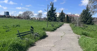 Contrast revoltător în fața Universității „Ovidius” Constanța. Parc înflorit versus teren pustiit - 8