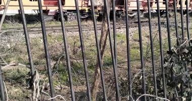 La doi pași de moarte! Copiii pot ajunge direct pe calea ferată prin gardul rupt din Parcul Viitorului - 3