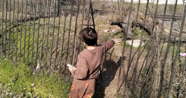 Stire din Social : La doi pași de moarte! Copiii pot ajunge direct pe calea ferată prin gardul rupt din Parcul Viitorului