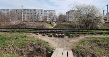 "Ne mai riscăm mult viața?". Pasarela pietonală din Poarta 6, rămasă la stadiul de proiect! - 3