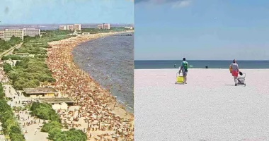 Perdele forestiere pe plajele din Mamaia și Năvodari. Proiect pilot pentru umbră naturală pe litoral