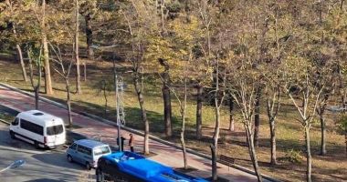 Stire din Social : Solicitările pentru permise de călătorie gratuite CT Bus, în creștere față de anul trecut. Câte persoane beneficiază