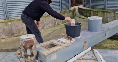 Stire din Social : Controale riguroase la Constanța. Verificări ale reziduurilor de pesticide în semințele de consum