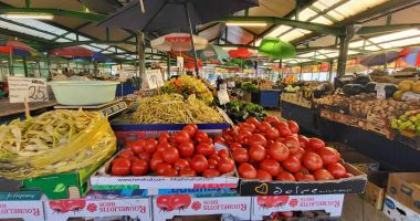 Mercurialul cămării. Gospodinele ar cumpăra de toate, dar le împiedică prețurile - 3