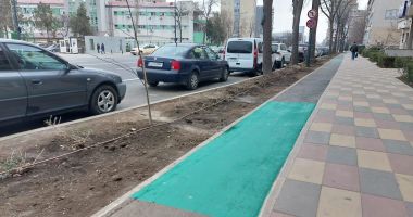 Treceri de pietoni, marcate pe piste. Bicicliștii, obligați să acorde prioritate - 2