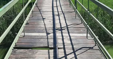 Podul suspendat din Parcul Tăbăcărie, traversat cu teamă. Scânduri rupte, rugină și promisiuni de reparații - 3