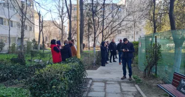 Copacii au dispărut, liber la parcare?! „Noi, cetățenii, nu avem niciun drept, nu ne apără nimeni” - 3