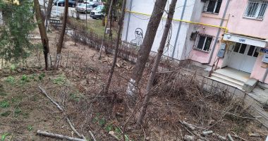 Prăpăd în Tomis Nord! Locuitorii, intrigați că arborii au fost tăiaţi fără milă! - 2