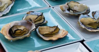 Primele stridii crescute în Marea Neagră, degustate la Constanța - 2