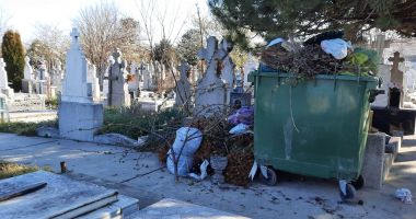 Cimitirele constănţene, pline de câini şi cerşetori! Ce faceţi cu banii colectaţi? - 2