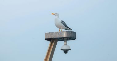Dușmanii nevăzuți ai șoferilor agresivi: camerele de supraveghere publică și cele de bord - 2
