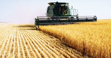 România rămâne al doilea cel mai mare exportator de cereale din UE