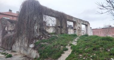 Vreți o primărie nouă? Doar studiile vă costă 22.000 de euro! Banii ajung la arhitectul Alin Pălimaru - 2