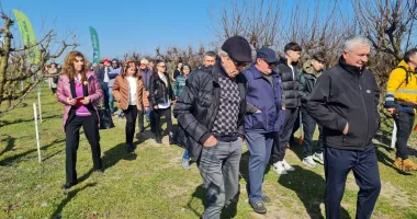 Stire din Economie : După dezastrul din 2025, livezile își revin! Semne bune pentru sezonul 2026