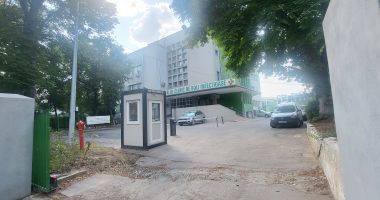 Stire din Social : Constanța sub asediu: câinii și căpușele trimit zilnic zeci de oameni la spital