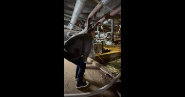 De neimaginat! Şobolani şi focar de infecție în subsolul Spitalului Județean Constanța - 5