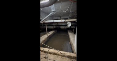 De neimaginat! Şobolani şi focar de infecție în subsolul Spitalului Județean Constanța - 6