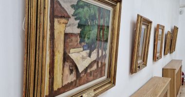 Porţia de cultură din weekend: Muzeul unicat "Dinu și Sevasta Vintilă" Topalu - 2