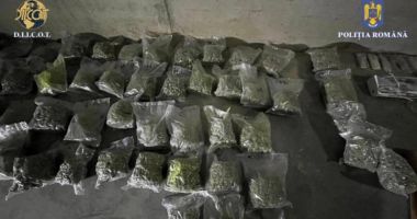 Stire din Eveniment : Traficul de droguri nu cunoaște limite. O grupare infracțională din Năvodari a fost coordonată din arest