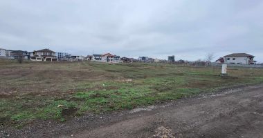 Disperare în cartierul Veterani. Oamenii nu au iluminat public, iar străzile sunt neasfaltate - 2