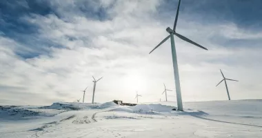 Stire din Economie : Viscolul a crescut producția de energie eoliană. România a exportat, de Crăciun