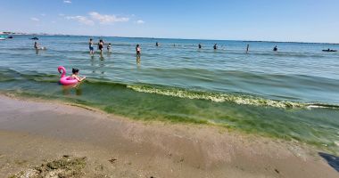 Coșmarul turiștilor pe litoralul românesc. Algele și lipsa toaletelor, eternele probleme ale verii - 4