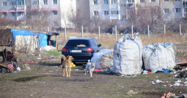 Mahalaua din inima Constanței. Locatarii sunt terorizați! - 12