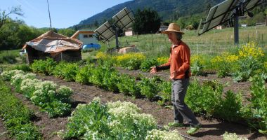 Stire din Economie : România utilizează prea puţin teren pentru agricultura ecologică. Ce planuri are UE